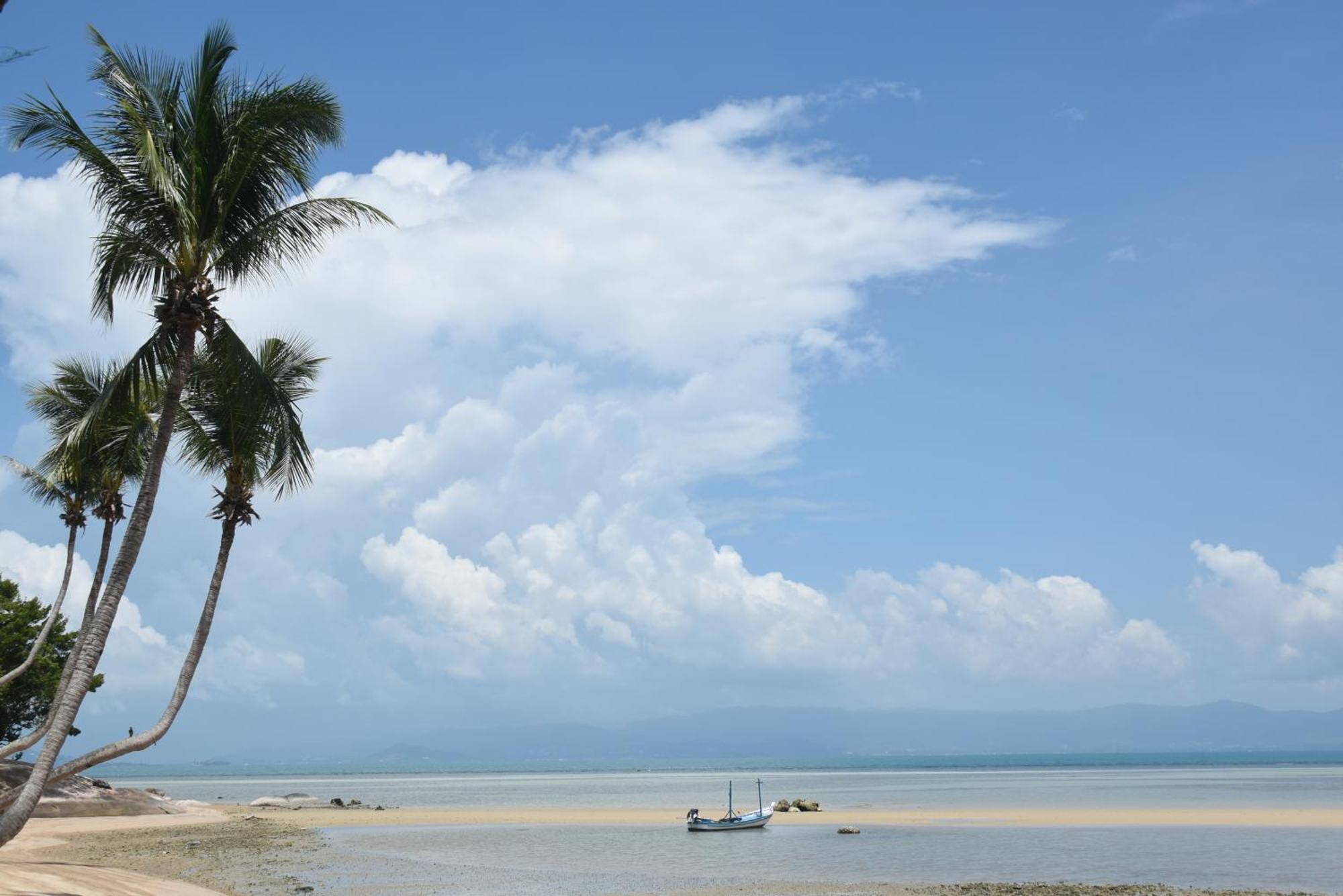 Blue Lotus Resort Baan Tai Zewnętrze zdjęcie